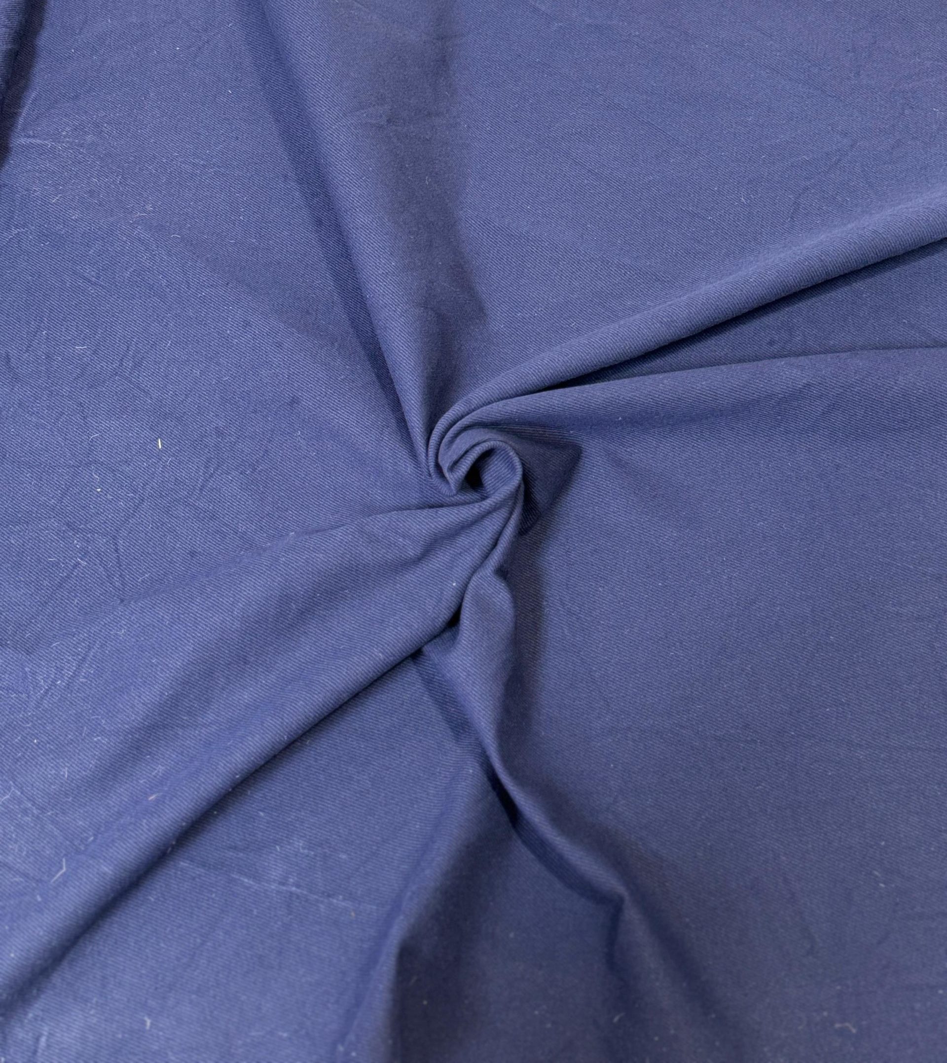 Sarga lisa - Imagen 2